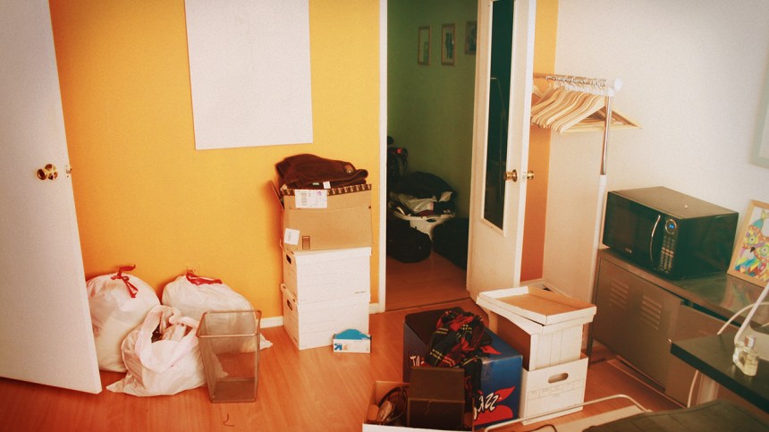 this is what moving looks like