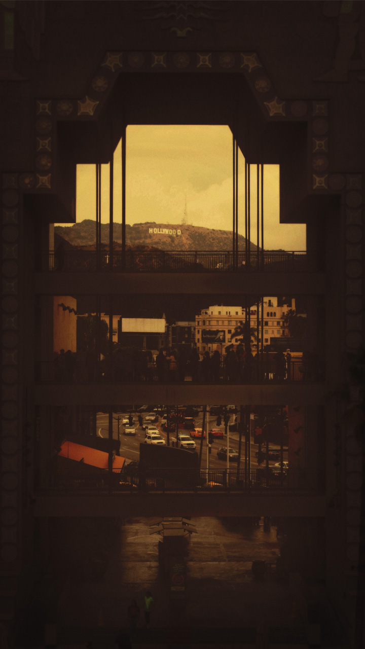 this is what my back yard looks like - november, 2012