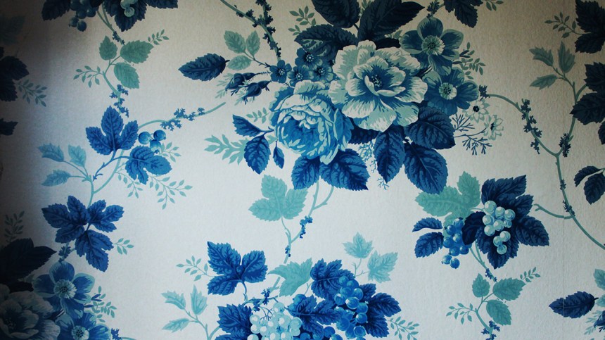 thisiswhatthebackdoorlookslike_1