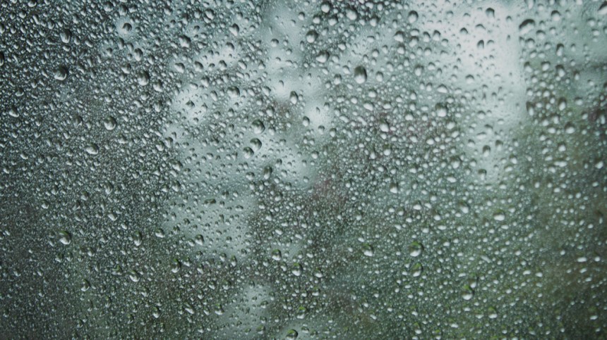 thisiswhat95%humiditylookslike_1_042813