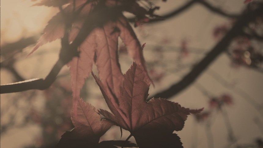 thisiswhatgoingtotheparklookslike_2_050613