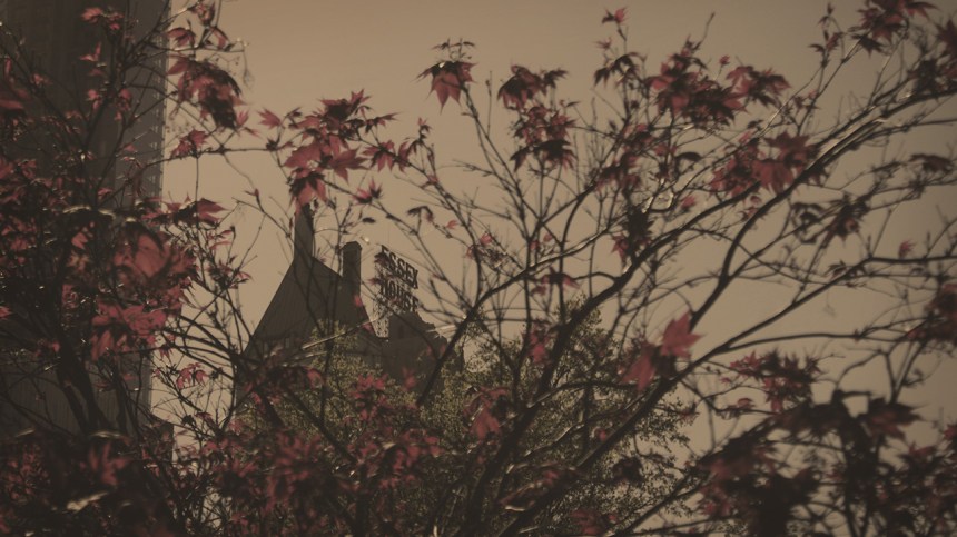 thisiswhatgoingtotheparklookslike_3_050613