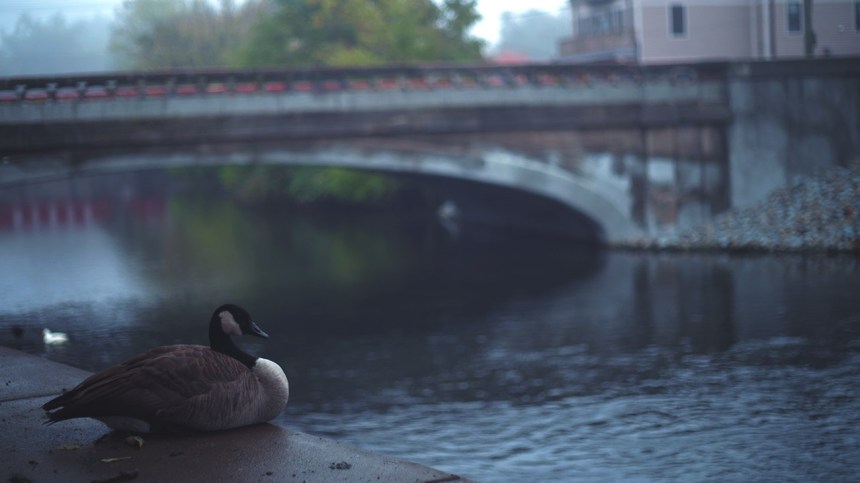 this is what taking a render break looks like - 10/30/13