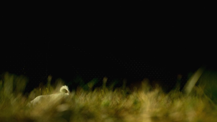 09142015 - thisiswhatsearchingforsomethinglookslike