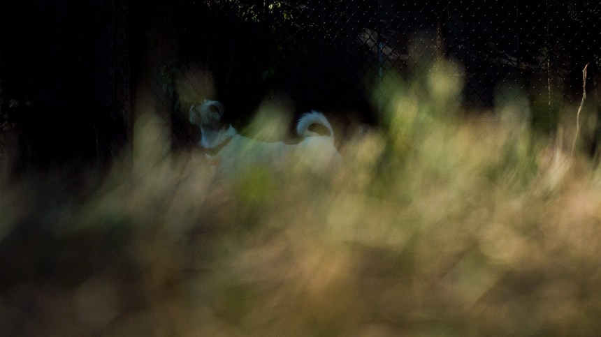 09142015 - thisiswhatsearchingforsomethinglookslike2