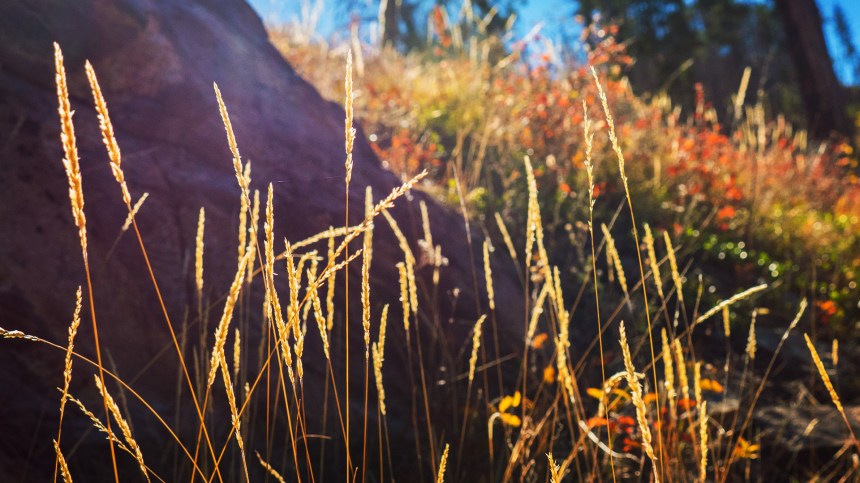 09302015_thisiswhataweekendretreatlookslike_2