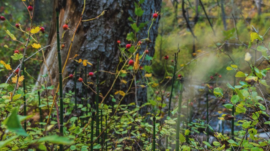 09302015_thisiswhataweekendretreatlookslike_3