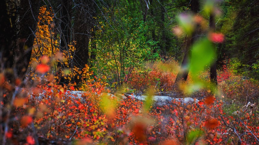 09302015_thisiswhataweekendretreatlookslike_4