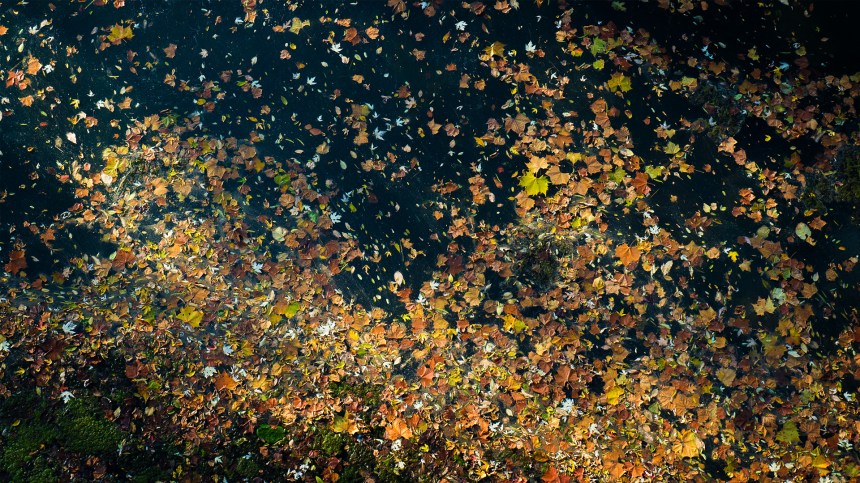 10212015 - thisiswhatthewaterlookslike