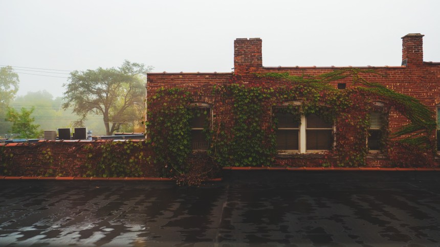 thisiswhat95percenthumiditylookslike