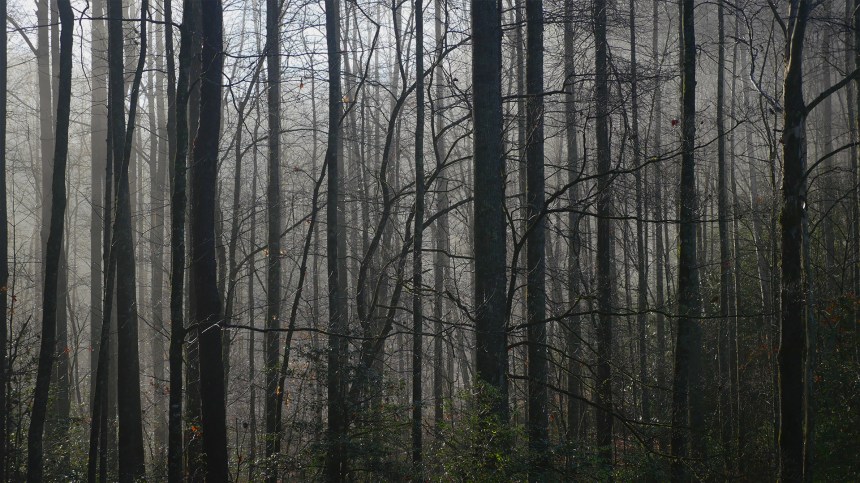 01032016 - thisiswhatgoingonvacationlookslike - 3